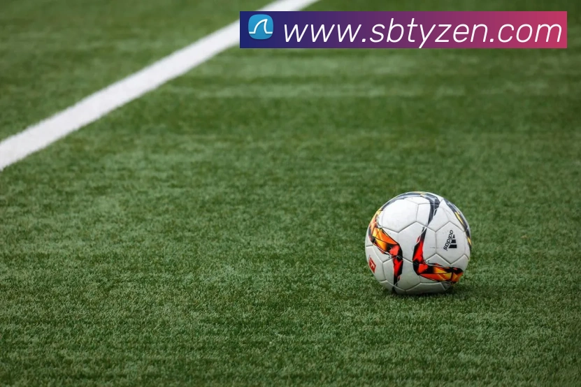 沙巴体育服务体系